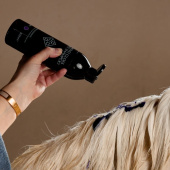 Shampooing pour chevaux gris Almond Gloss Purple 500ml Shampooing pour chevaux gris Almond Gloss Purple 500ml