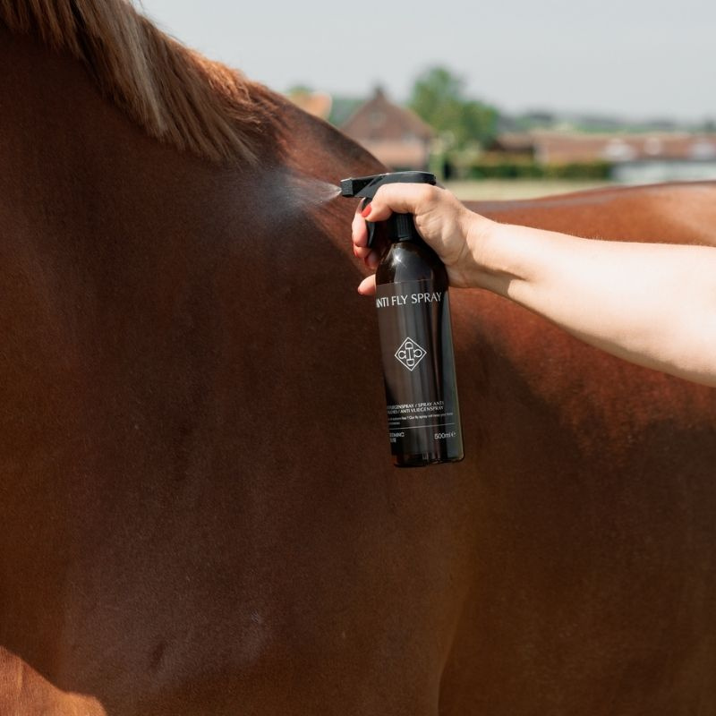 Spray anti-mouches Anti Fly Spray 500ml