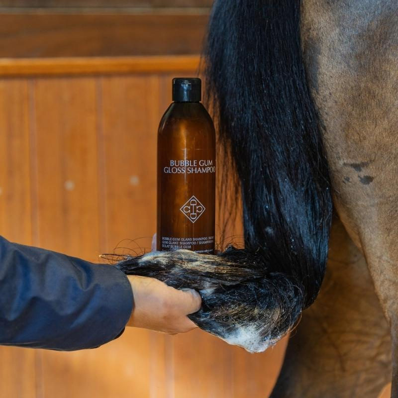 Shampooing Bubble Gum Gloss 500ml