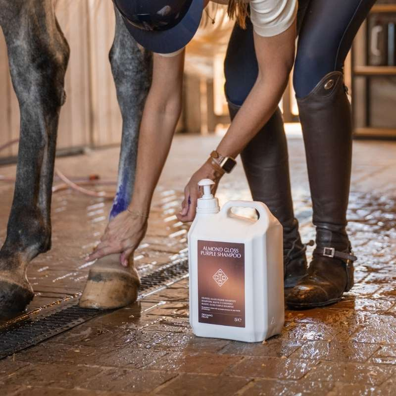 Shampoing pour chevaux gris Almond Gloss Purple 5L