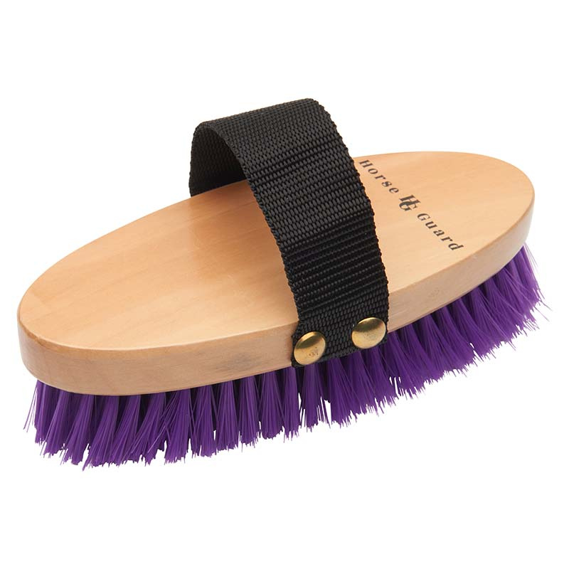 Brosse à panser HG Violet  