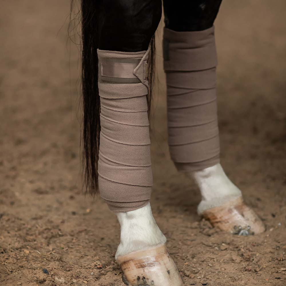 Bandages ES Champagne
