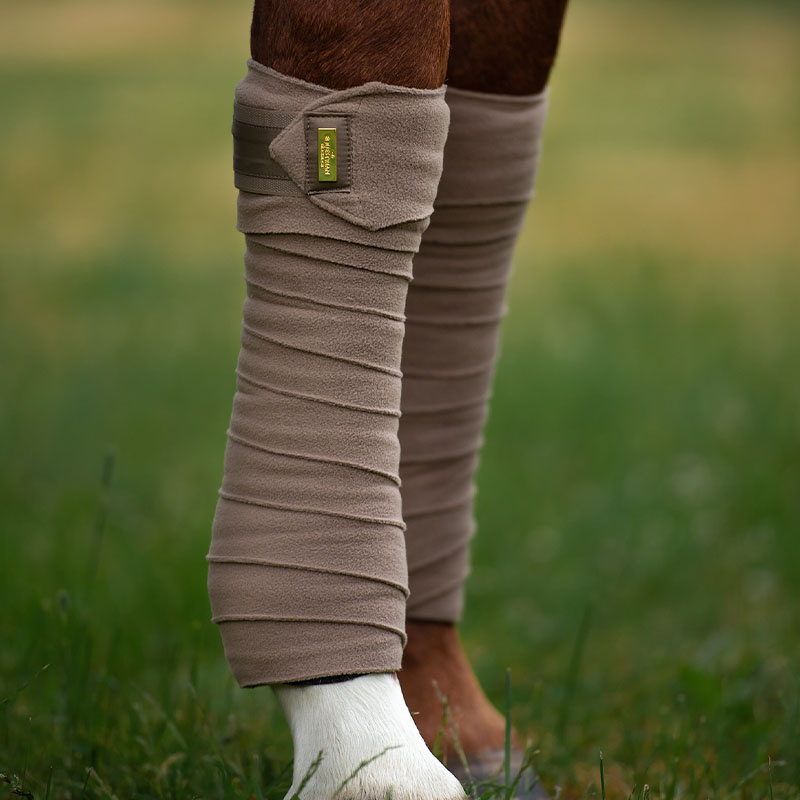 Bandages ES Champagne