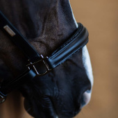 Halter en cuir anatomique ES Glimmer Black Edition Halter en cuir anatomique ES Glimmer Black Edition