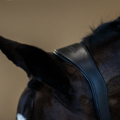 Halter en cuir anatomique ES Glimmer Black Edition Halter en cuir anatomique ES Glimmer Black Edition