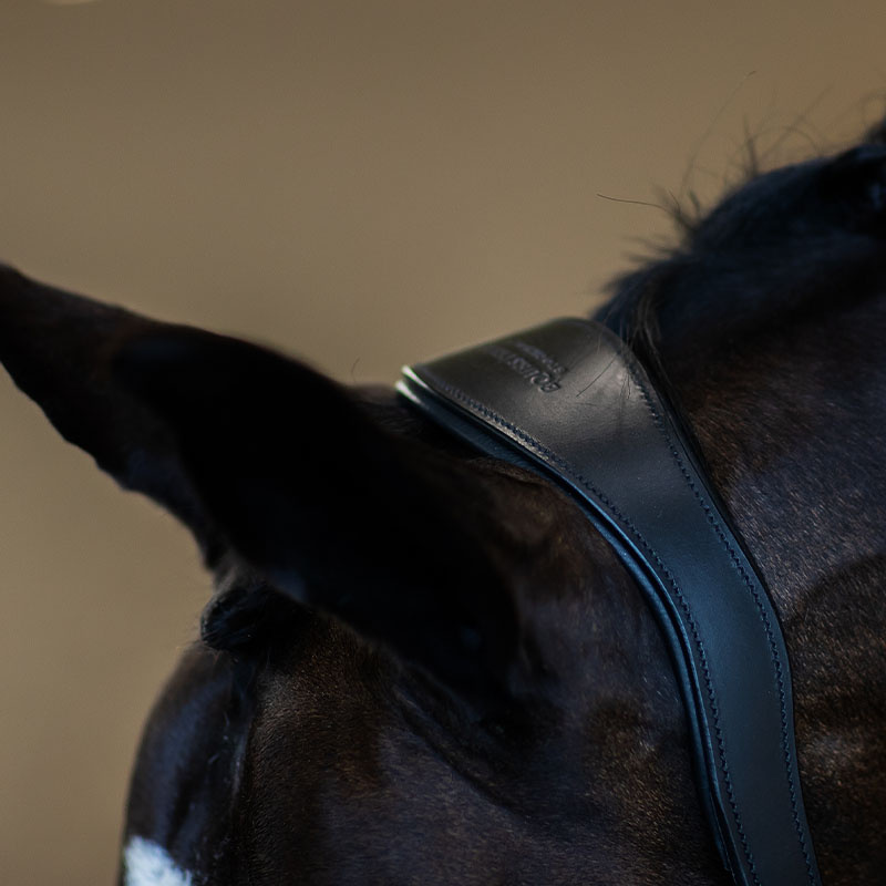 Halter en cuir anatomique ES Glimmer Black Edition