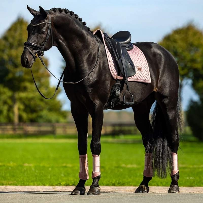 Tapis de selle dressage ES Modern Midsummer Blush
