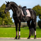 Tapis de selle dressage ES Modern Midsummer Blush Tapis de selle dressage ES Modern Midsummer Blush