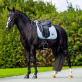 Tapis de selle dressage ES Modern Midsummer Blue Tapis de selle dressage ES Modern Midsummer Blue