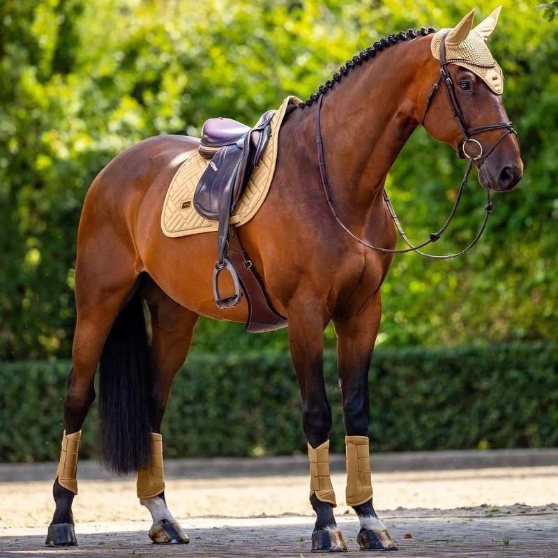 Tapis de selle ES Modern Midsummer Glow