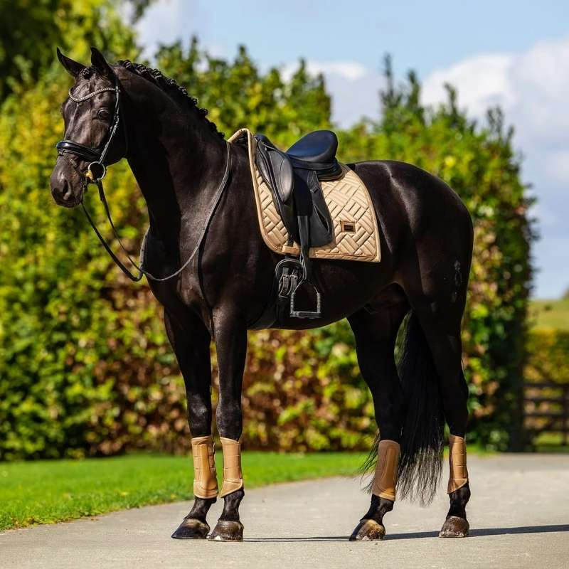 Tapis de selle dressage ES Modern Midsummer Glow