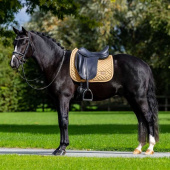 Tapis de selle dressage ES Modern Midsummer Glow Tapis de selle dressage ES Modern Midsummer Glow