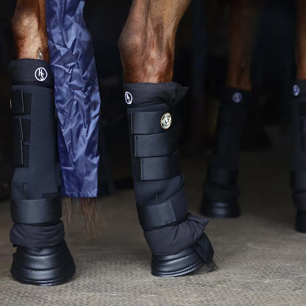Guêtres d'écurie HS Noir