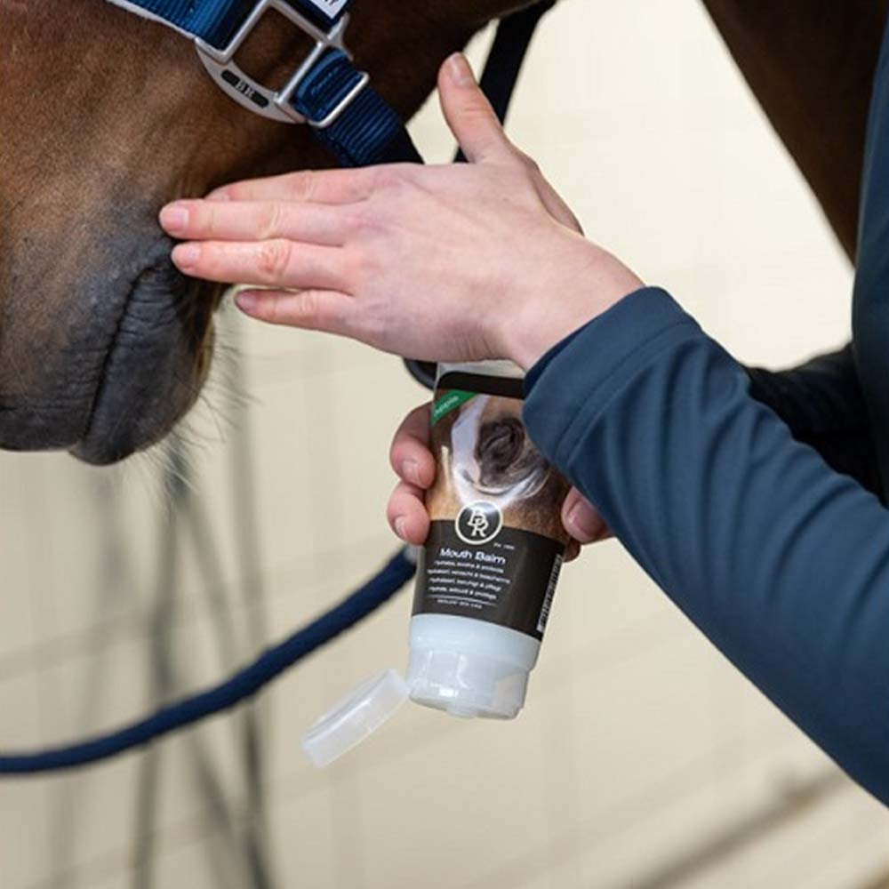 Baume pour Bouche Apple 150ml