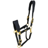 Licou FIR-Tech Grand Noir Licou FIR-Tech Grand Noir
