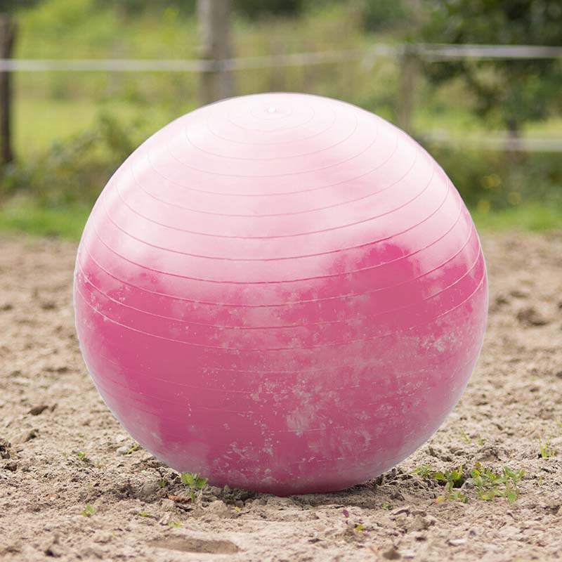 Football équestre Rose