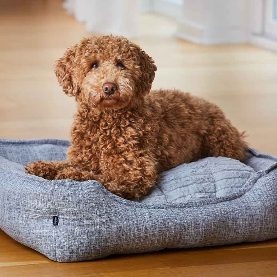 Panier pour chien Classic Lady