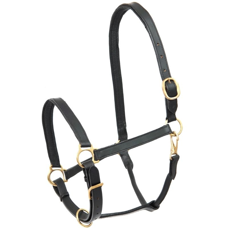 Licol en cuir Robust Noir