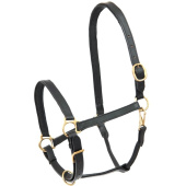 Licol en cuir Robust Noir Licol en cuir Robust Noir