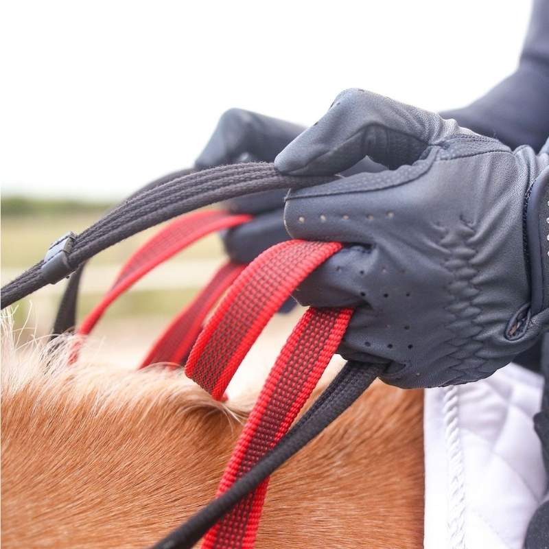 Collier de chasse Safety Rein Secutrust Noir