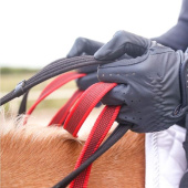 Collier de chasse Safety Rein Secutrust Noir Collier de chasse Safety Rein Secutrust Noir