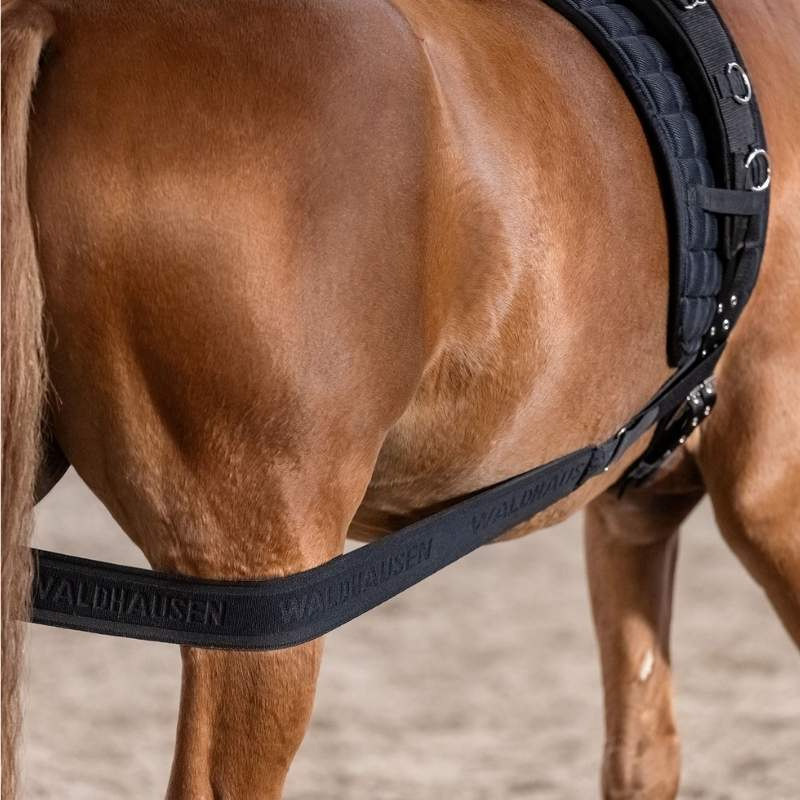 Body Bandage Elastic Noir Cob/Full