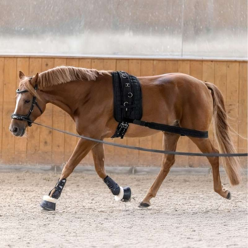 Body Bandage Elastic Noir Cob/Full