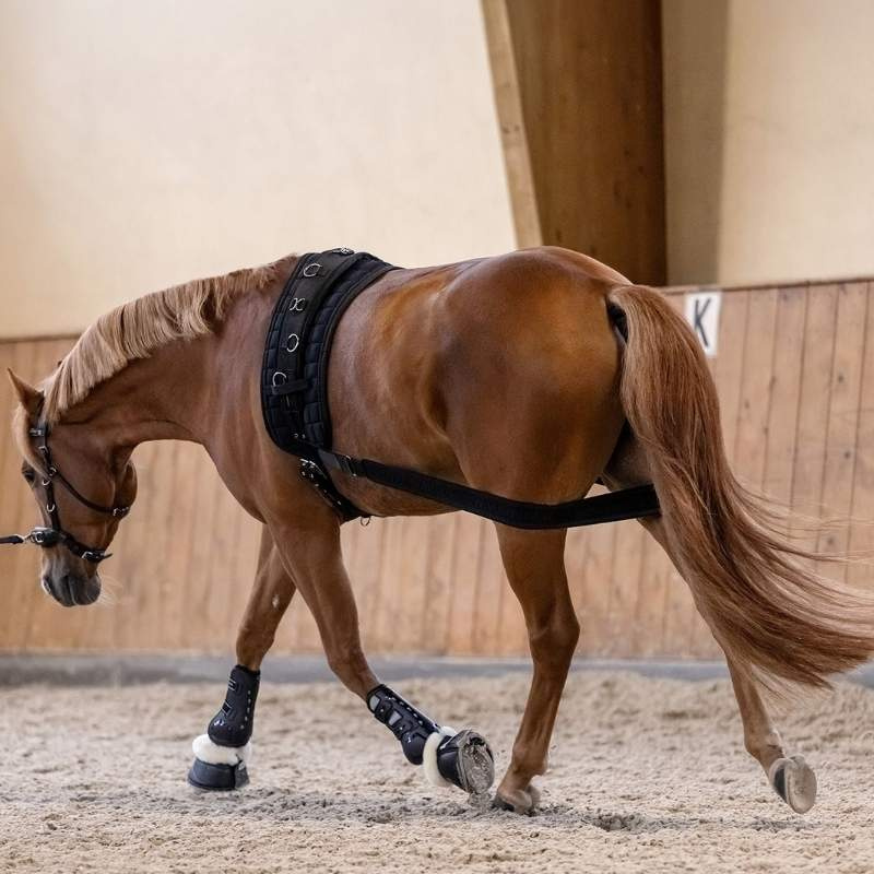 Body Bandage Elastic Noir Cob/Full