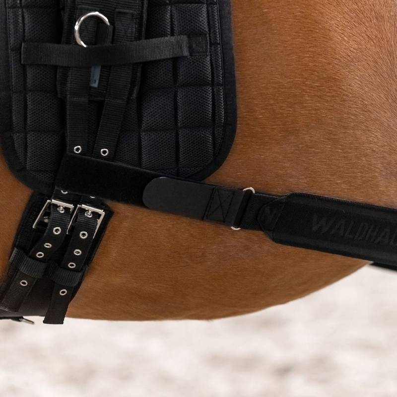 Body Bandage Elastic Noir Cob/Full