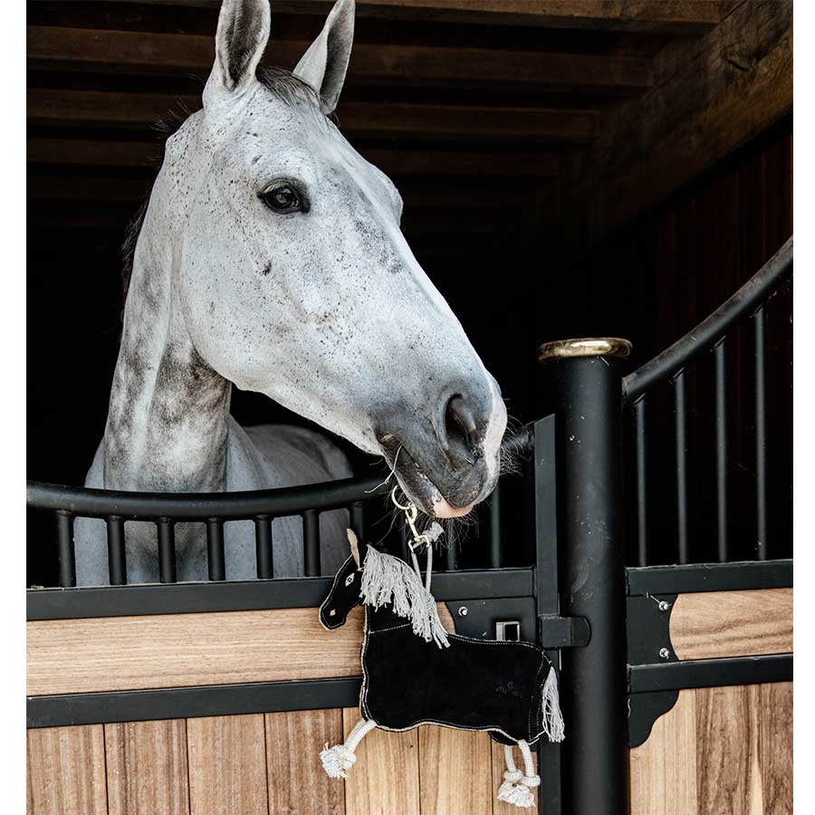 Jouet pour chevaux Poney Relax Noir