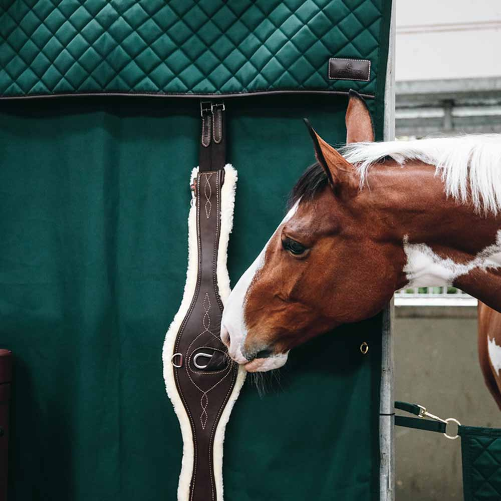 Rideau de Box Waterproof Vert Foncé