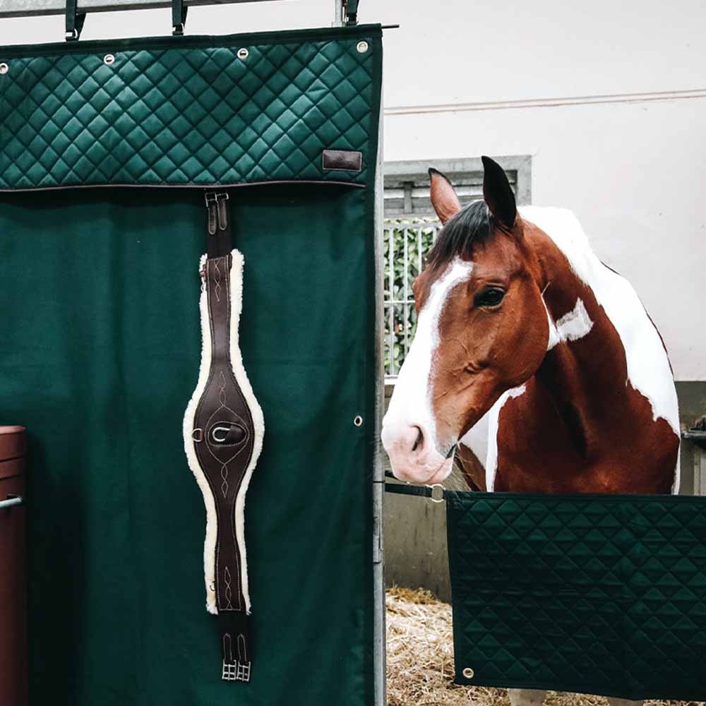 Rideau de Box Waterproof Vert Foncé