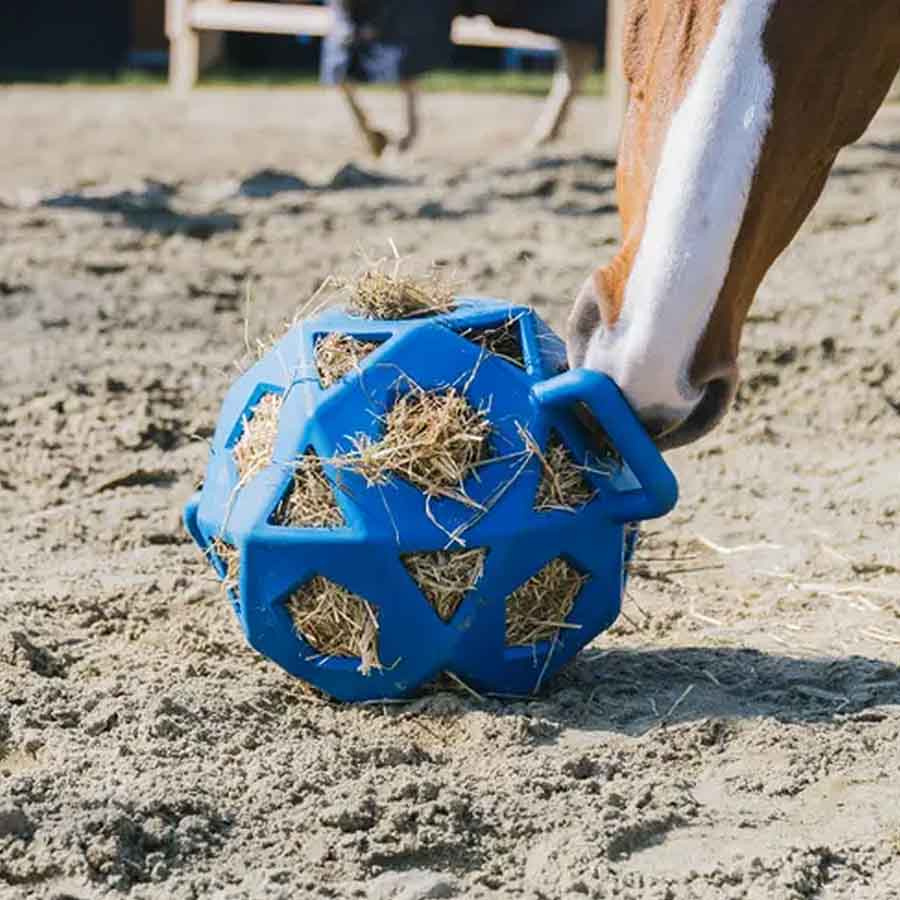 Balle de Foin Relax Hay & Play Bleu