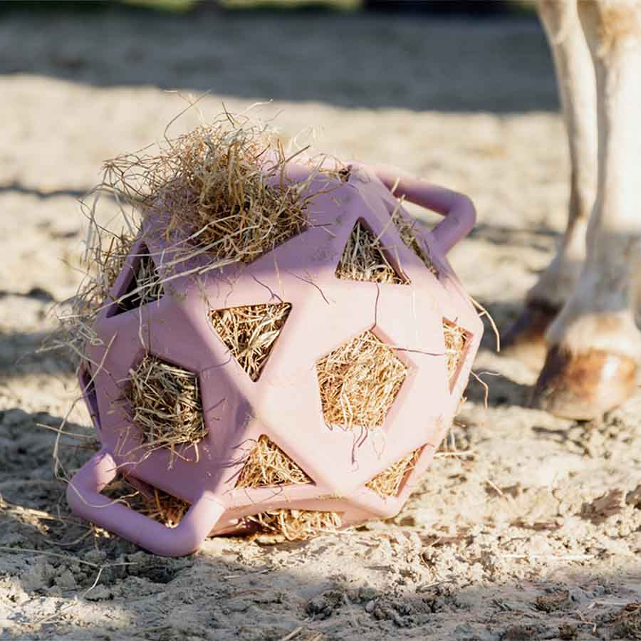 Balle de foin Relax Play & Hay Gammelrosa