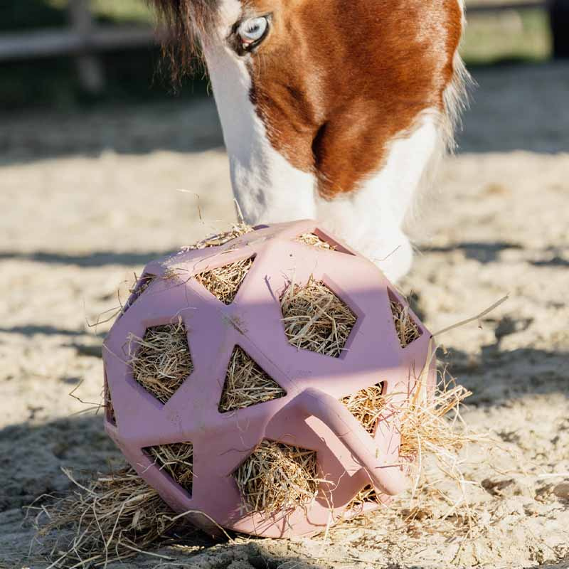 Balle de foin Relax Play & Hay Gammelrosa