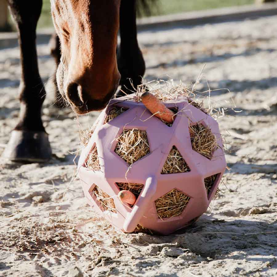 Balle de foin Relax Play & Hay Gammelrosa