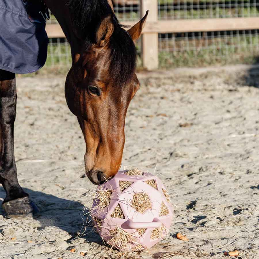 Balle de foin Relax Play & Hay Gammelrosa
