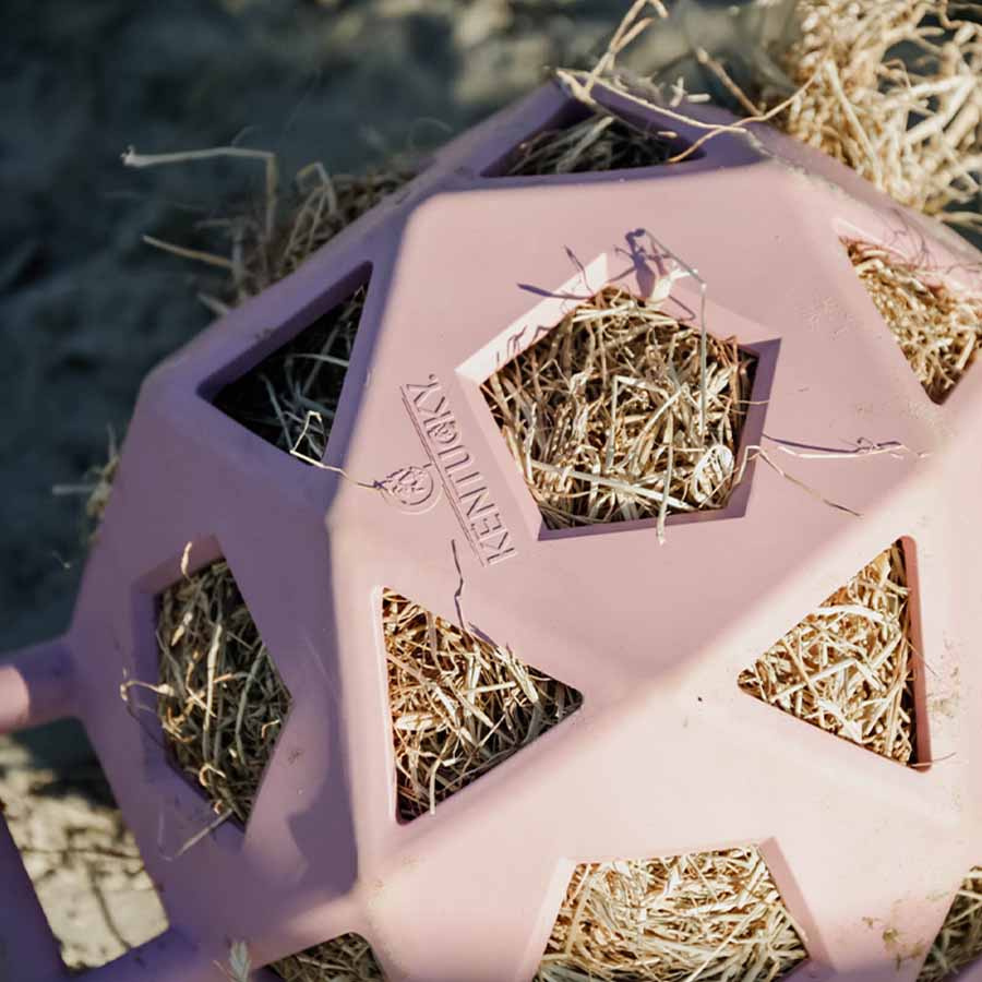 Balle de foin Relax Play & Hay Gammelrosa