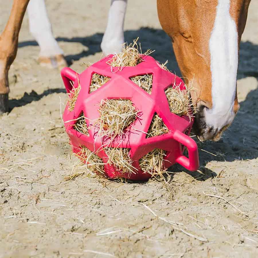 Balle de Foin Relax Hay & Play Rose