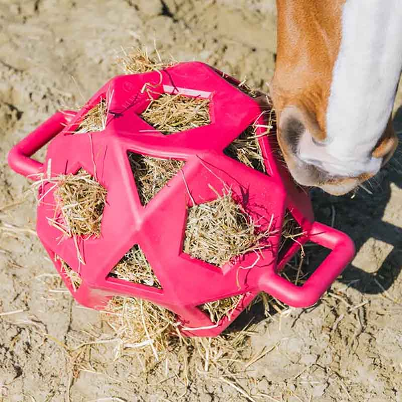 Balle de Foin Relax Hay & Play Rose