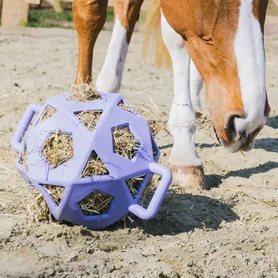 Balle de Foin Relax Hay & Play Violet