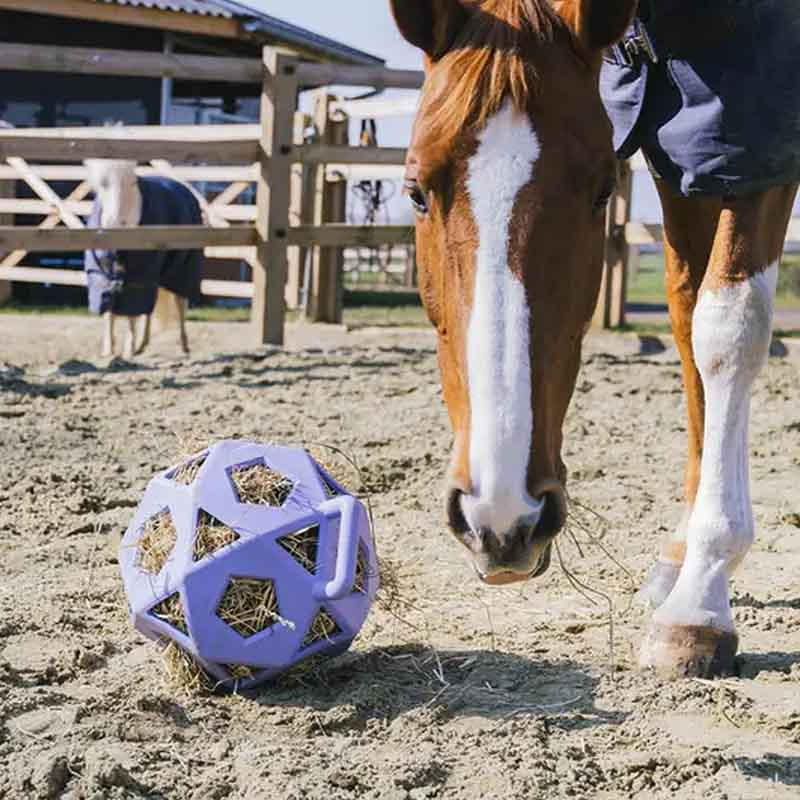 Balle de Foin Relax Hay & Play Violet