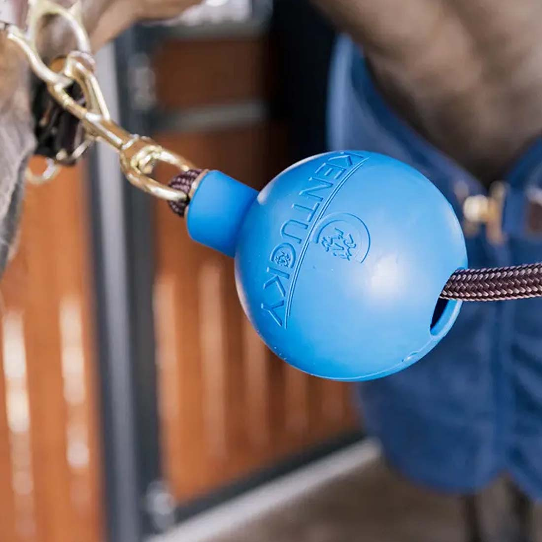 Balle de Protection Lead & Wall Protection Rubber Bleu