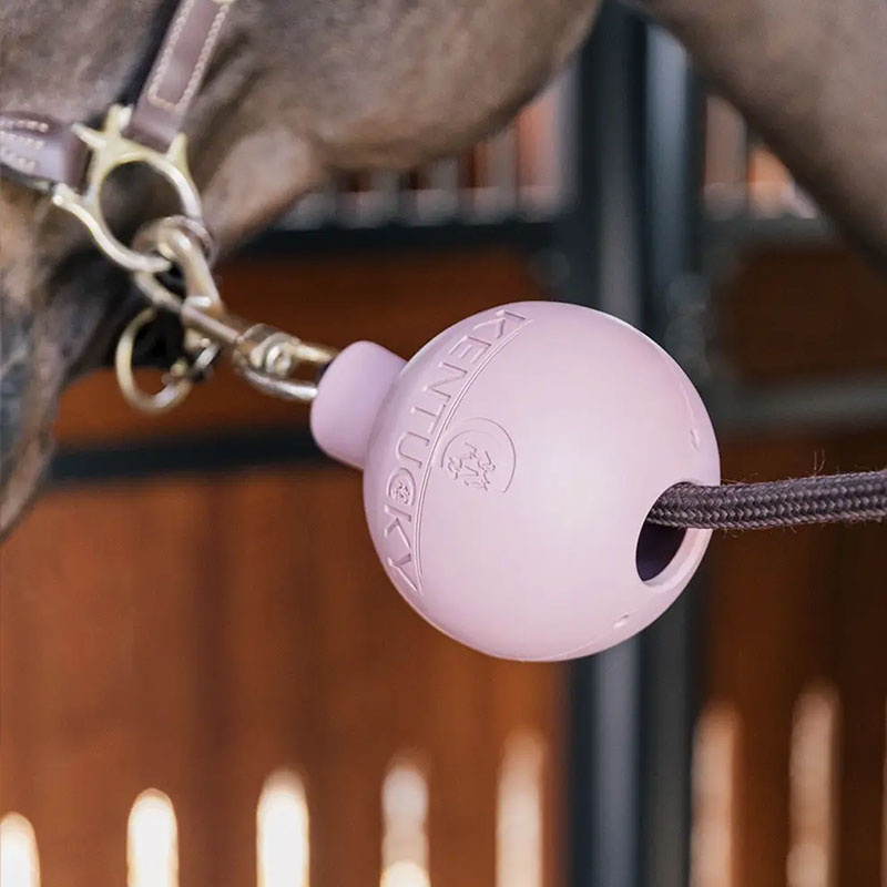 Balle de Protection Lead & Wall Protection Rubber Rose Ancien