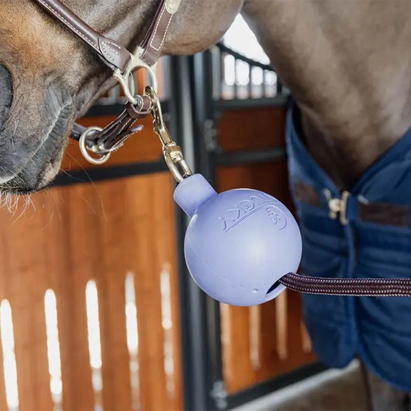 Balle de Protection Lead & Wall Protection Rubber Violet