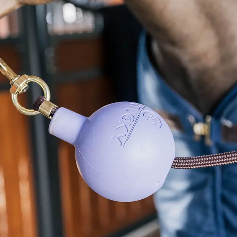 Balle de Protection Lead & Wall Protection Rubber Violet