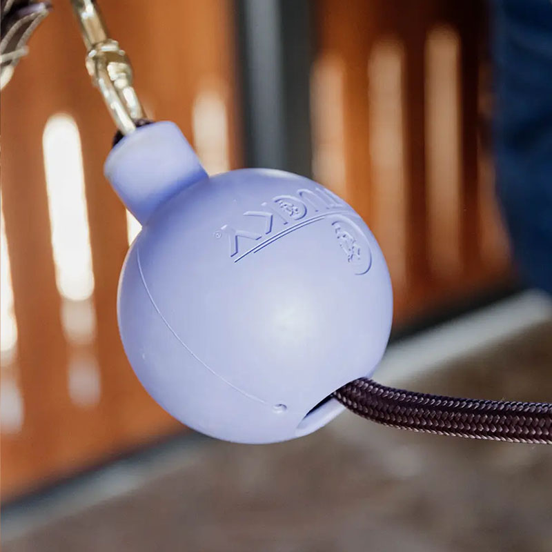 Balle de Protection Lead & Wall Protection Rubber Violet