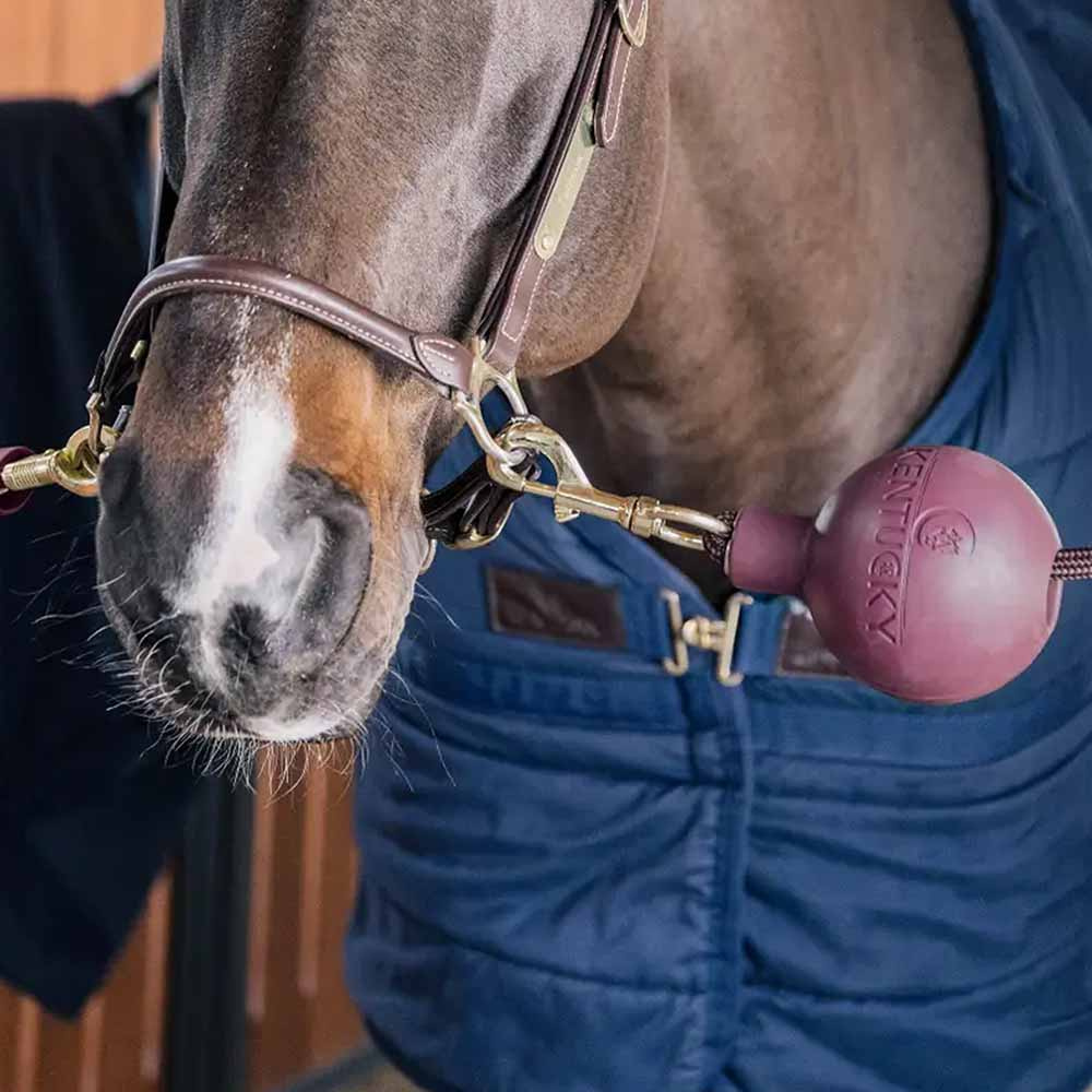 Balle de Protection Lead & Wall Protection Rubber Rouge Vineux