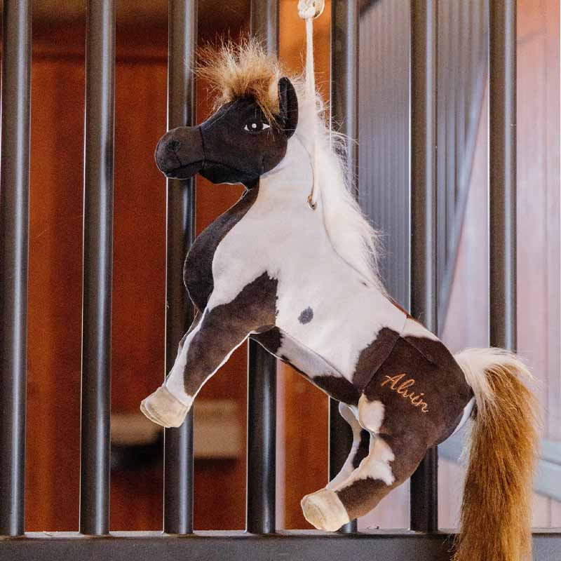 Jouet pour chevaux Alvin Relax