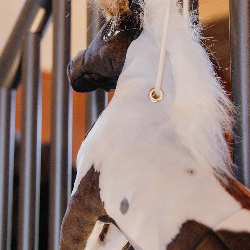 Jouet pour chevaux Alvin Relax